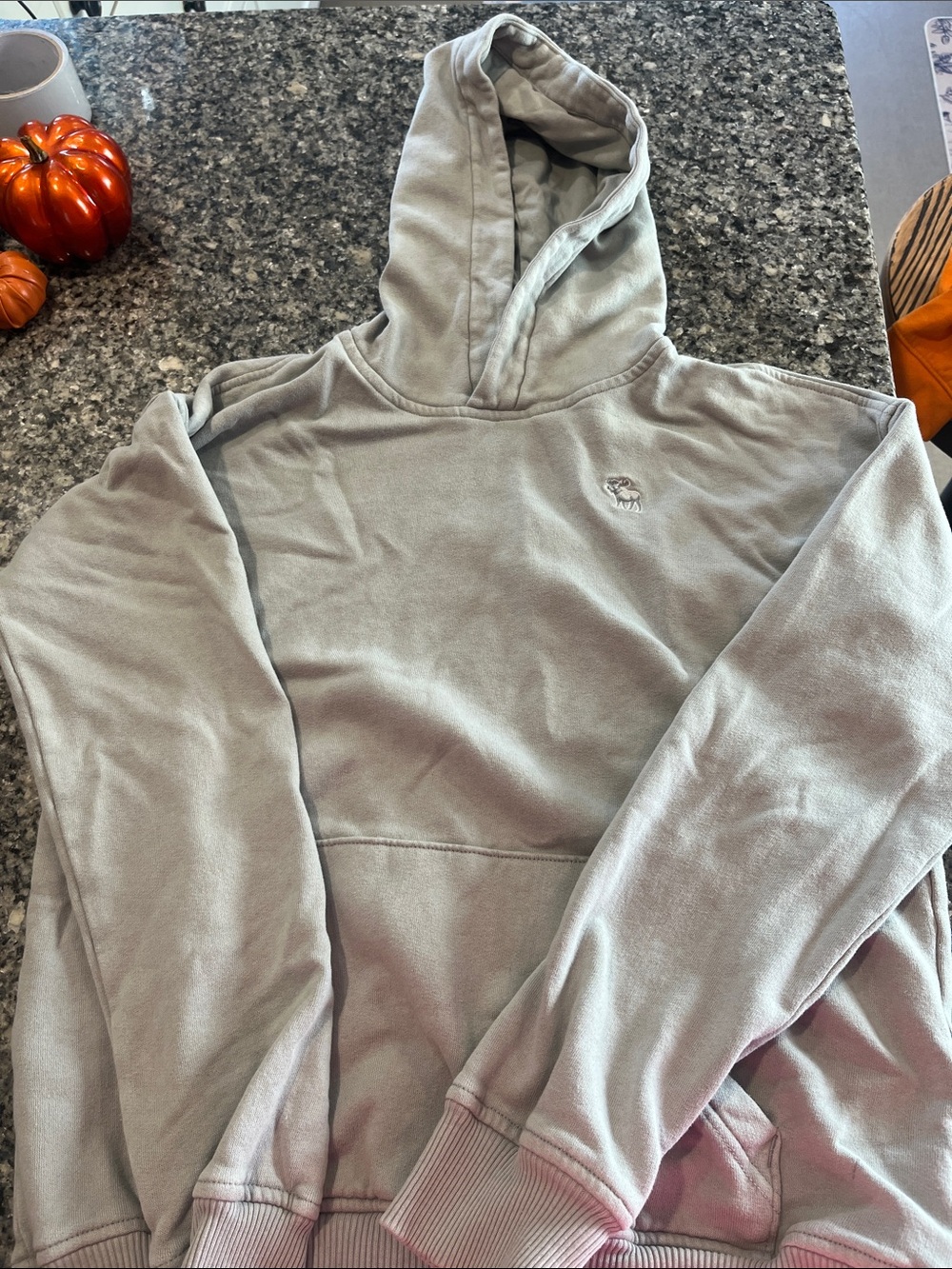 abercrombie kids Light Gray boysHoodie with Subtle Logo
